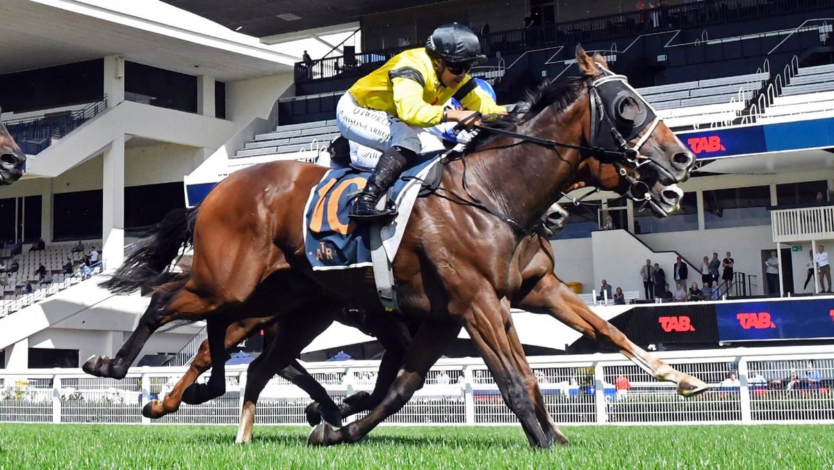 Embezzler absconds with Ellerslie prize
