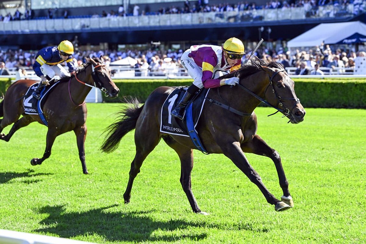 NZB Kiwi runner-up strikes at The Championships