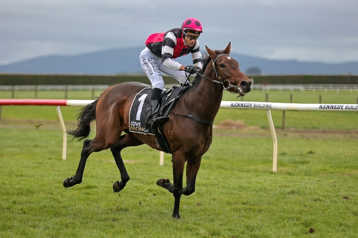 Time for Freddie to head to Queensland