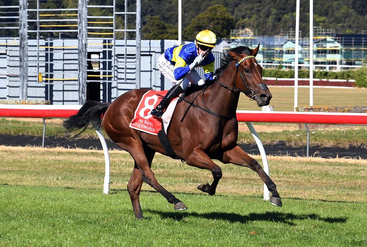 Wexford Eyeing Sydney Spoils with Group One Star