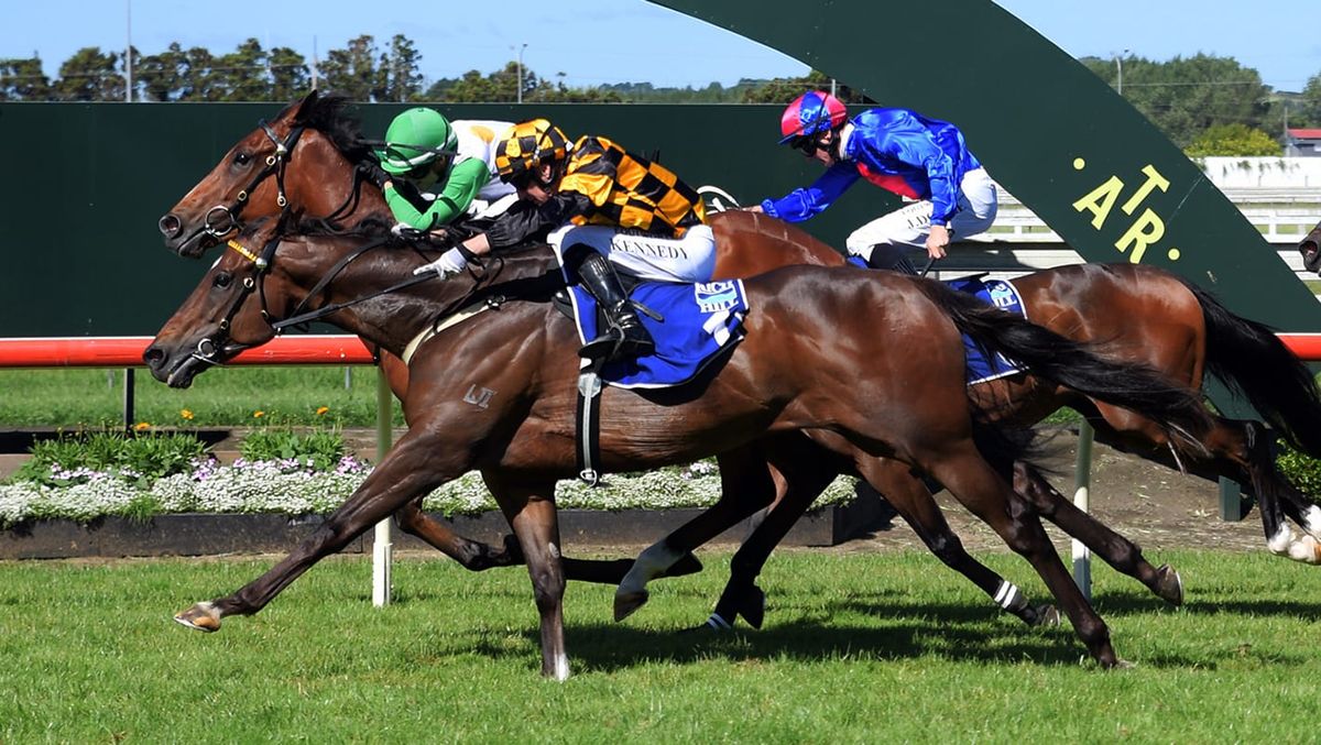 Habana back in action after colic surgery
