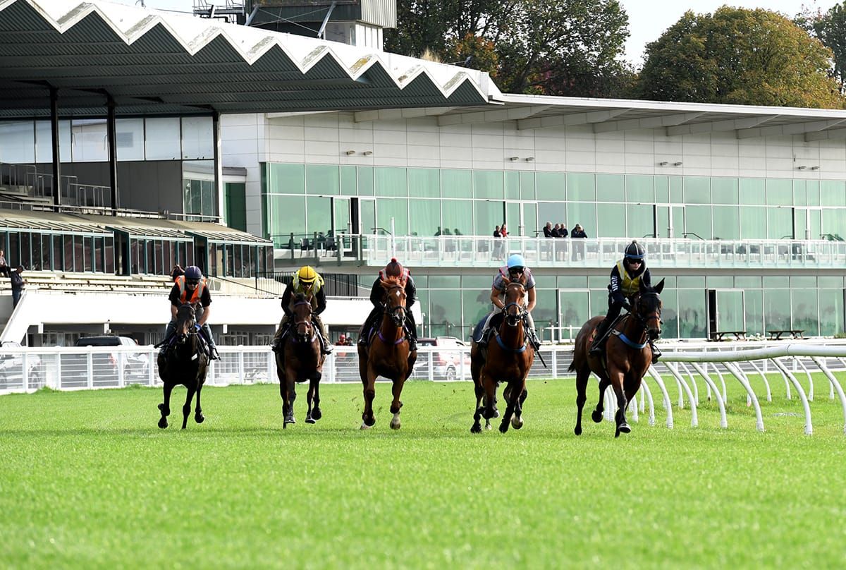 Green Light for Awapuni Racing After Positive Trials Yesterday 