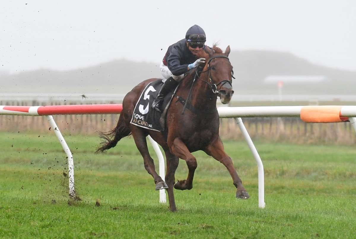 Winter rivalry brewing for Hocquard pair