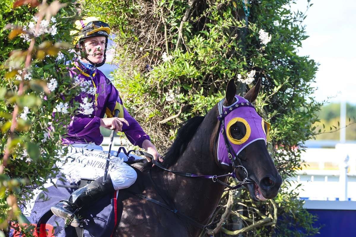 Local juvenile gunning for Riccarton feature