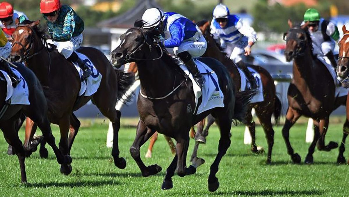 Group One Performer Steps Up to Mile Challenge