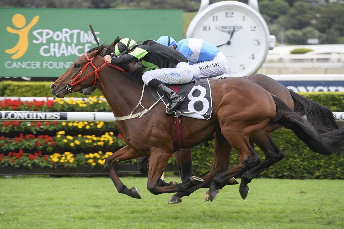 Stockman to make hurdle debut