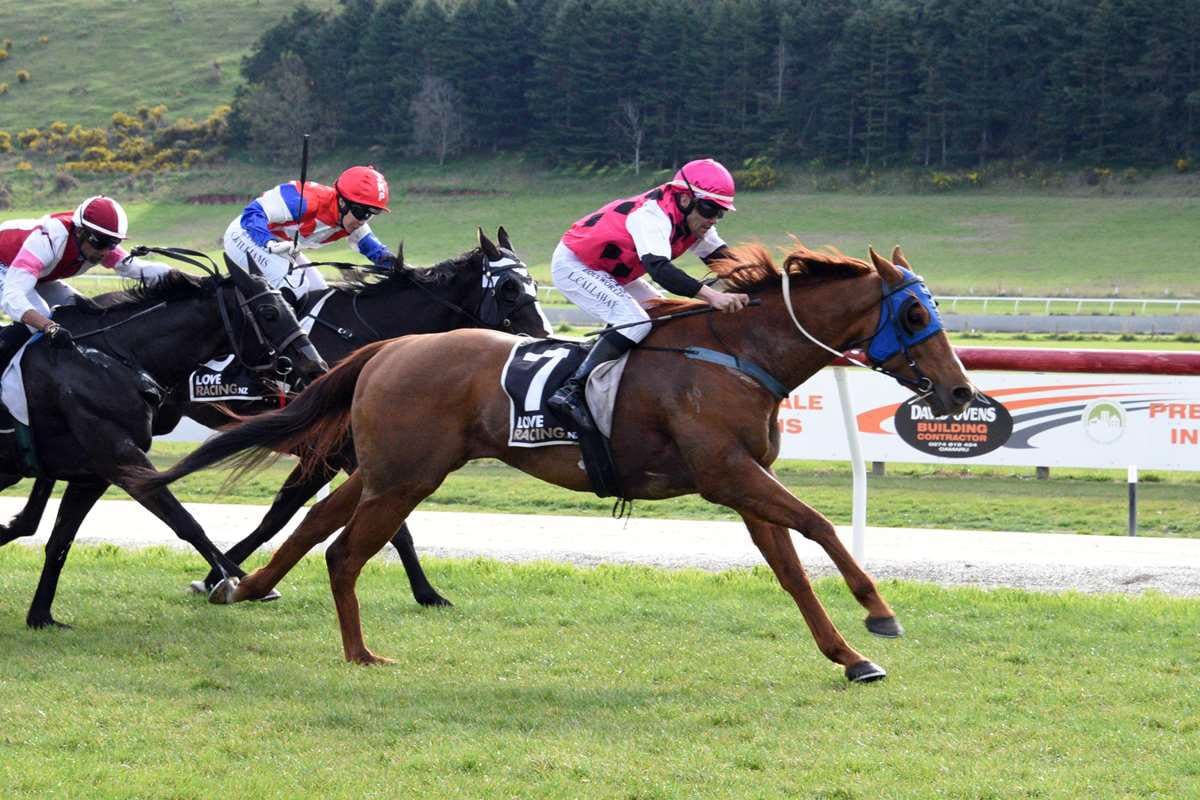 The Good Shepherd shooting for further success at Invercargill