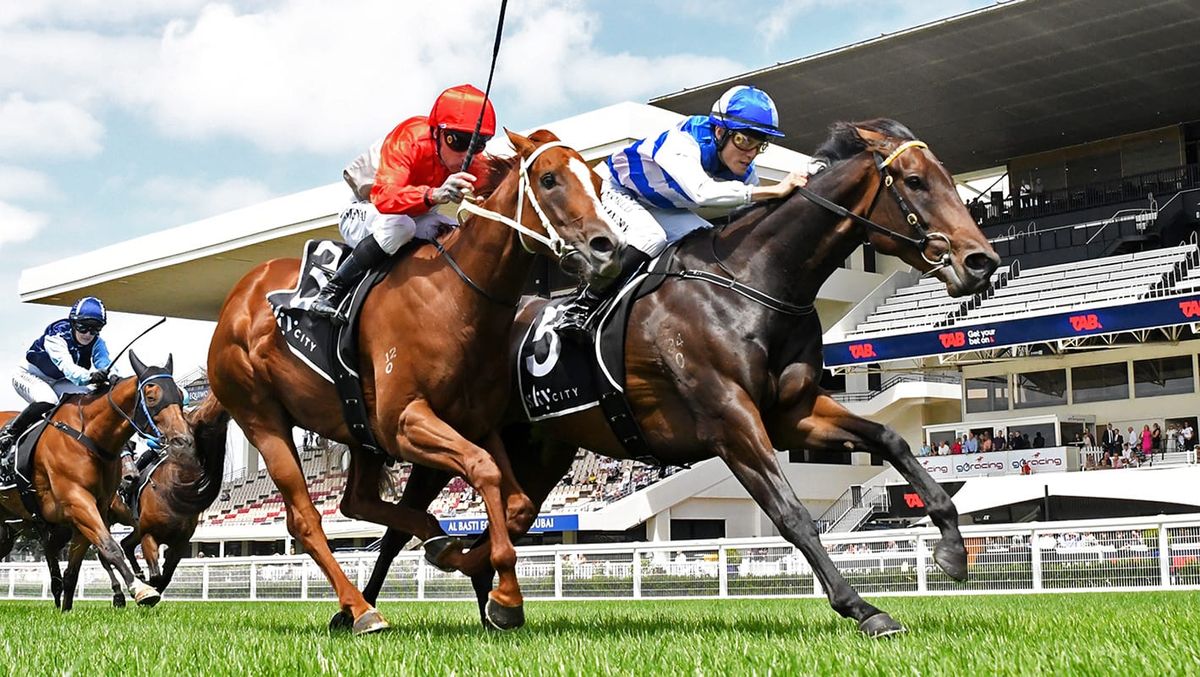 Black-type test for Tomodachi