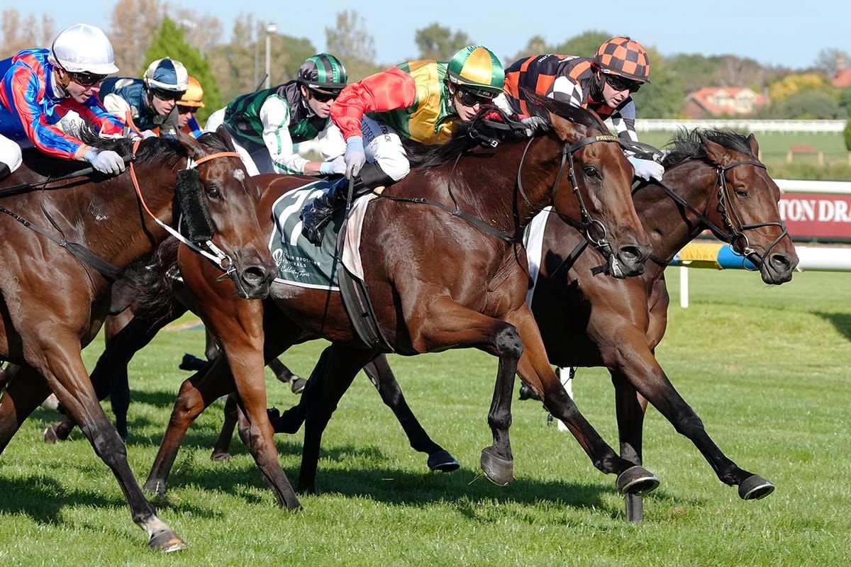 New Zealand-breds deliver back-to-back Easter Cups for Preusker