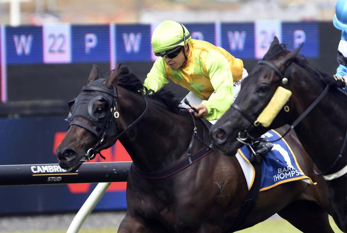 Wood seeking early Easter Success at Ellerslie