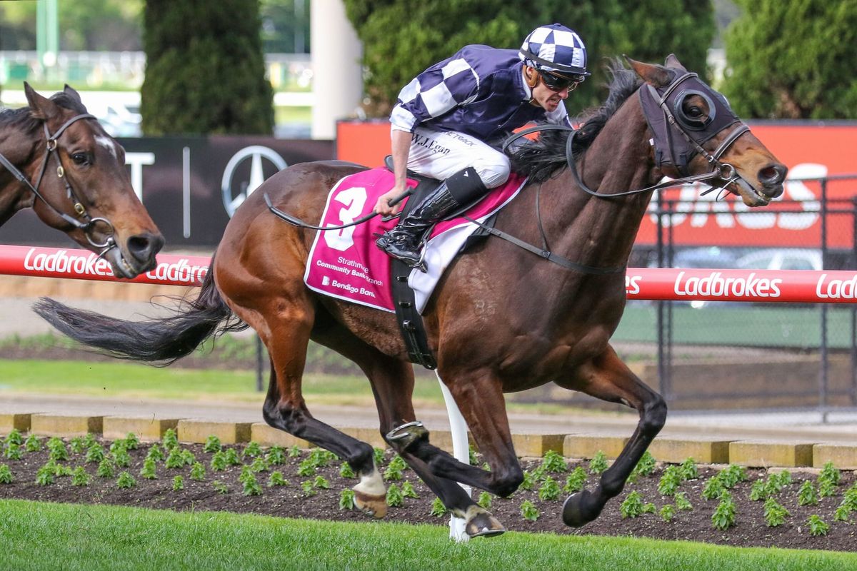 Egan teams with Werther in Cup bid