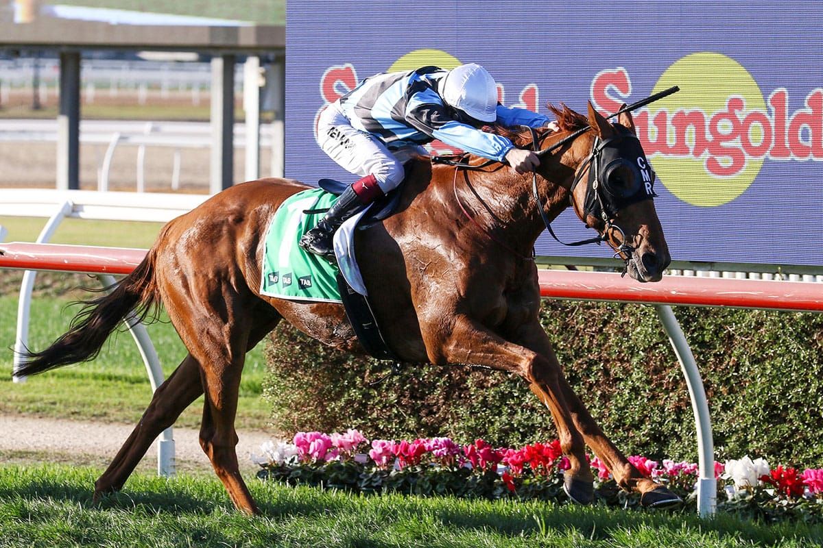 Maher lands hometown Cup victory