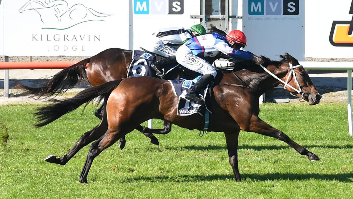 Go Racing strike again with proven pedigree