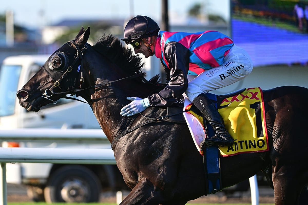 Dashing Antino dominates Doomben Cup