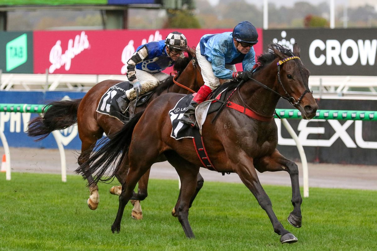 Basilinna books Melbourne Cup ticket