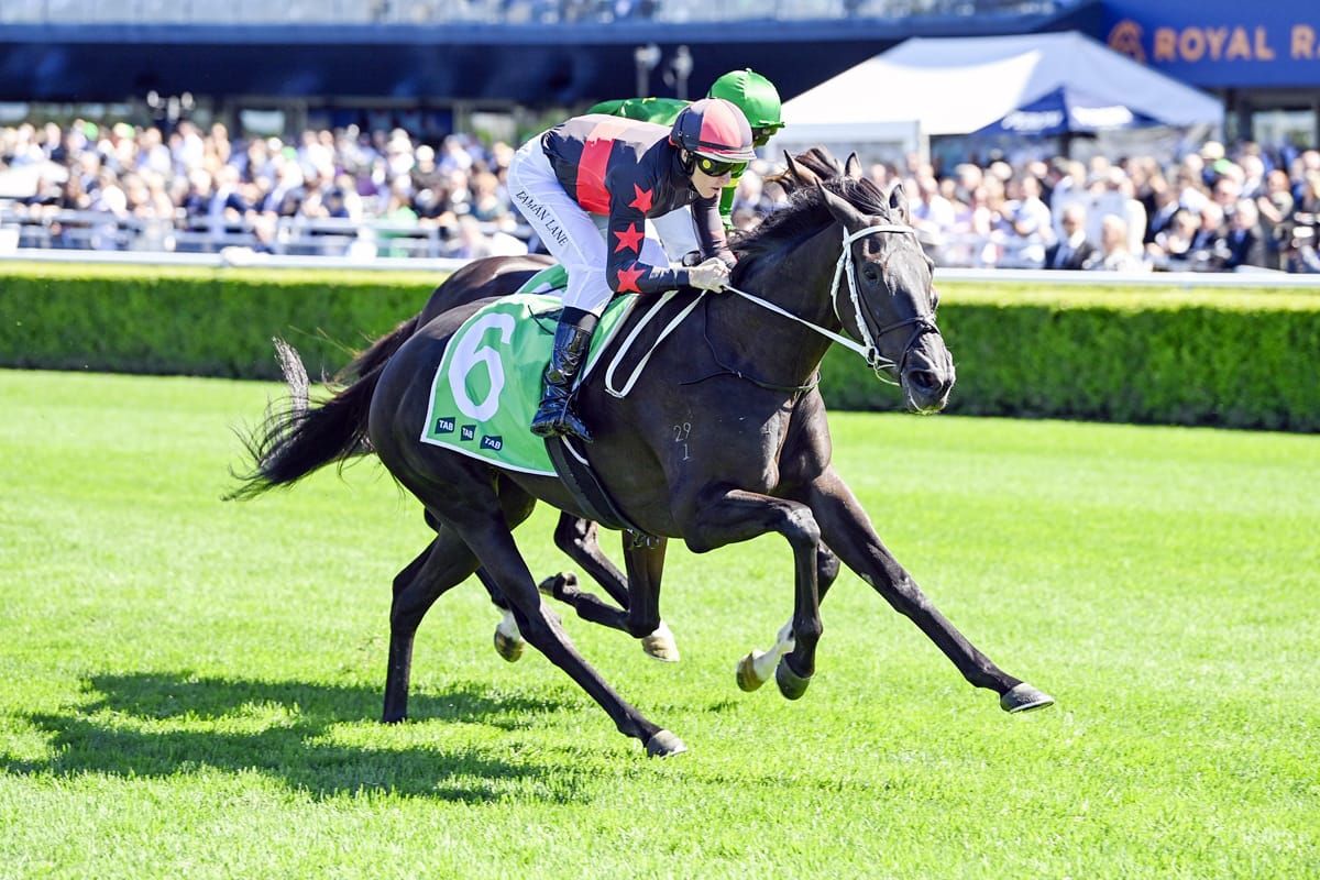 Bishara Gears Up for Verry Exciting Weekend