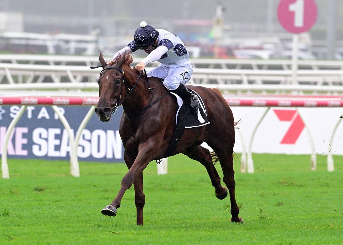 Campaldino hits new heights in Queen Elizabeth II Cup