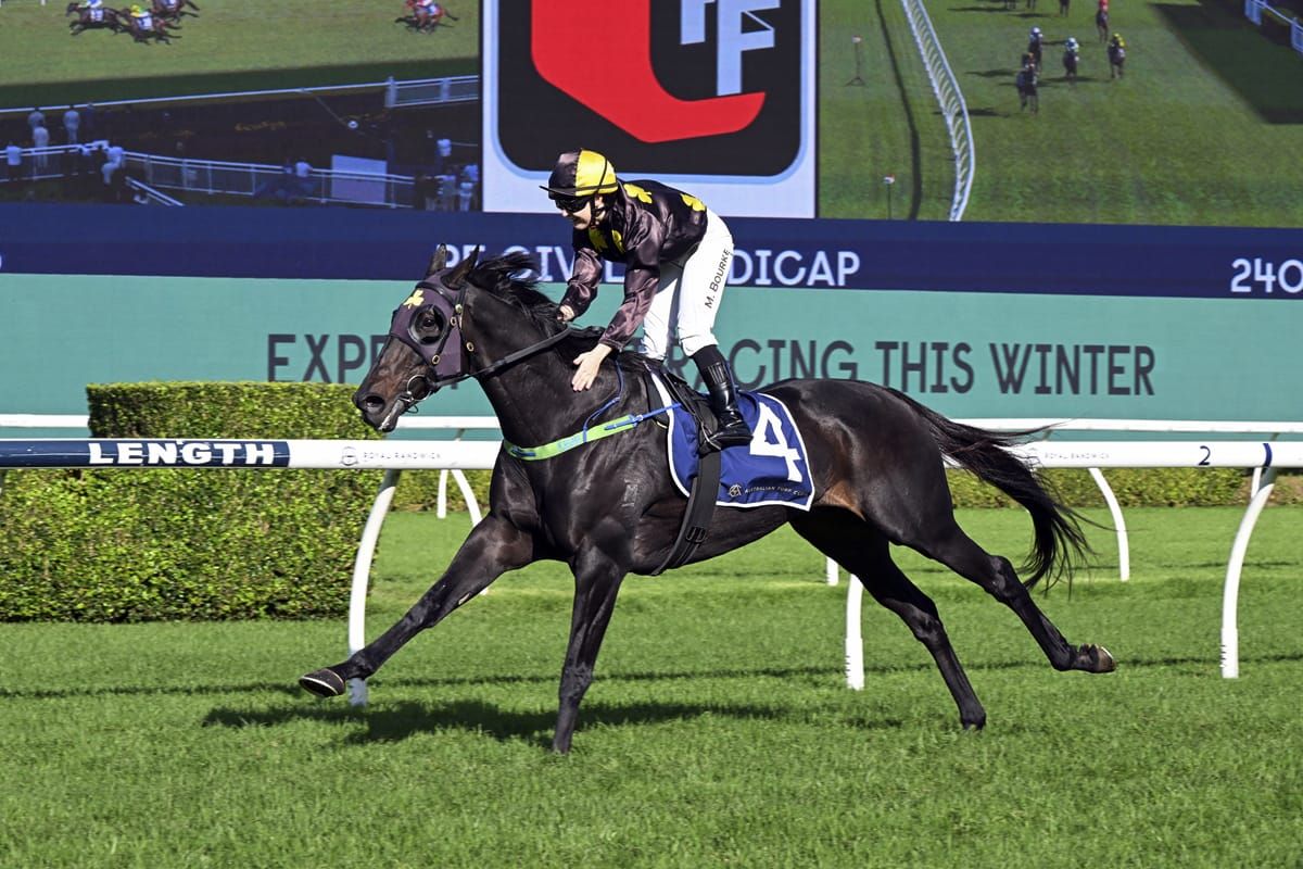 Sargent’s Casual Connection proving good money-spinner