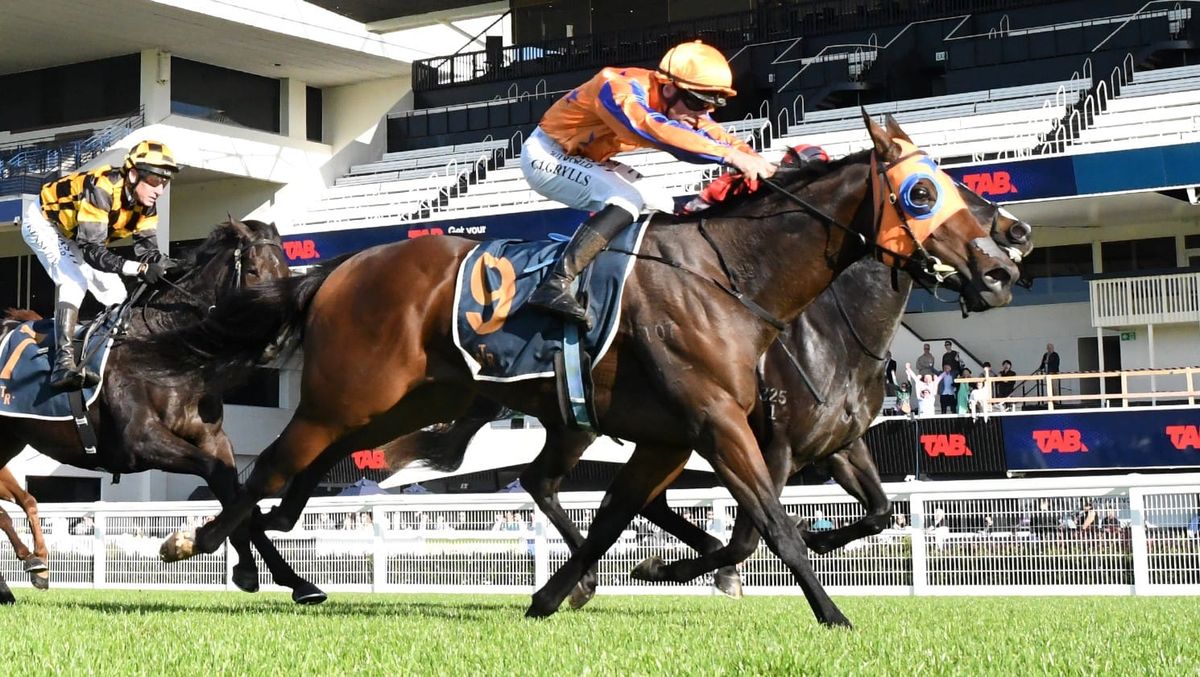 Grylls guides promising filly to Ellerslie victory