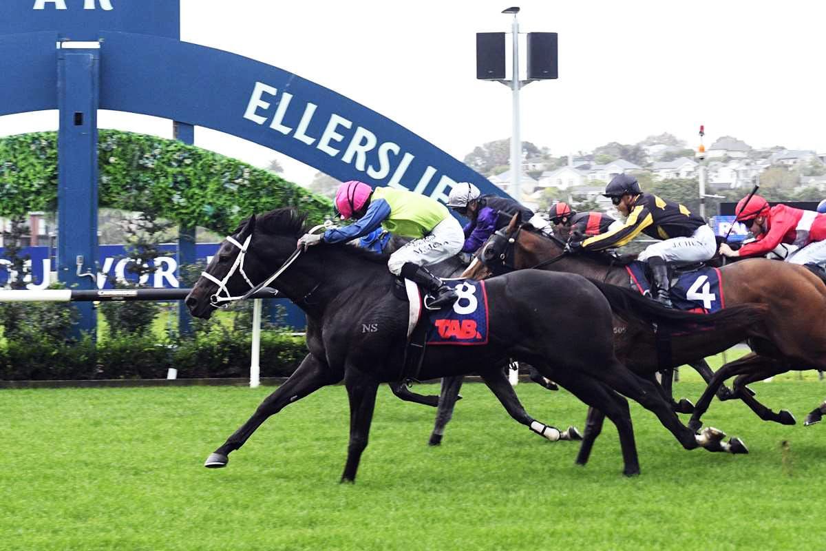 Rough Habit next for Kiwi raider