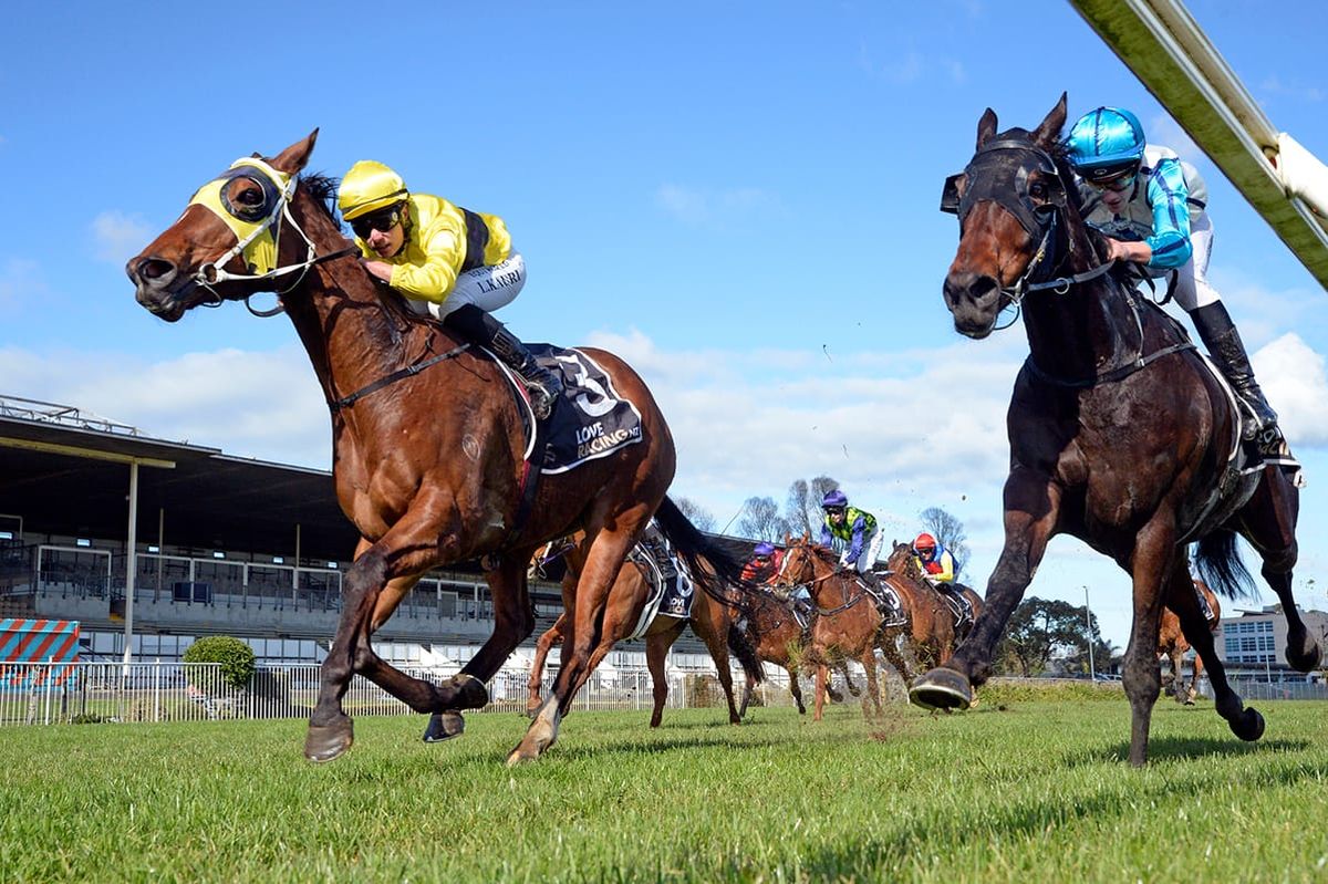 Talented gelding set to follow proven path at Te Rapa