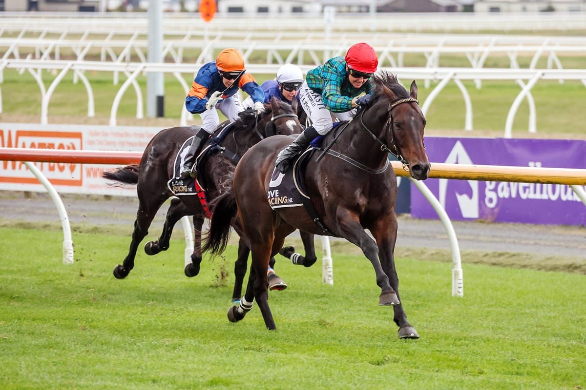 Harlech Returns in Top Form