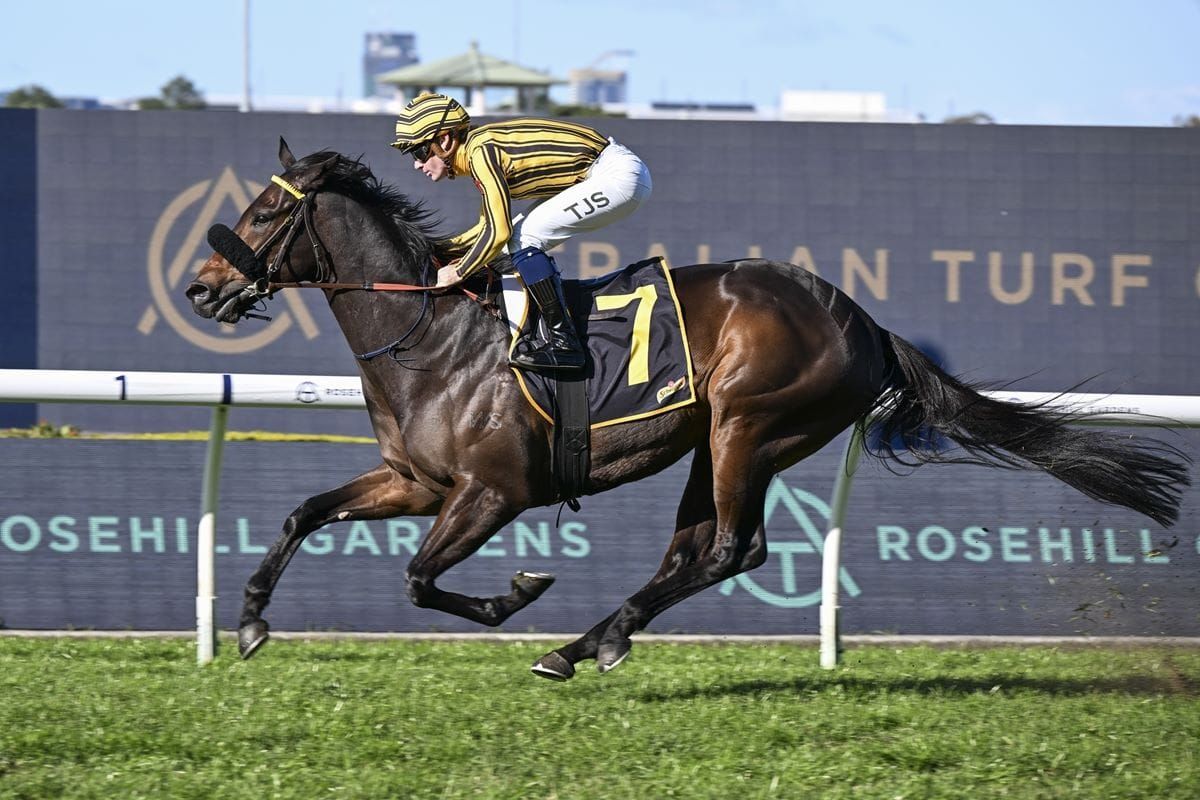 Jedibeel ripe for Doomben 10,000 mission