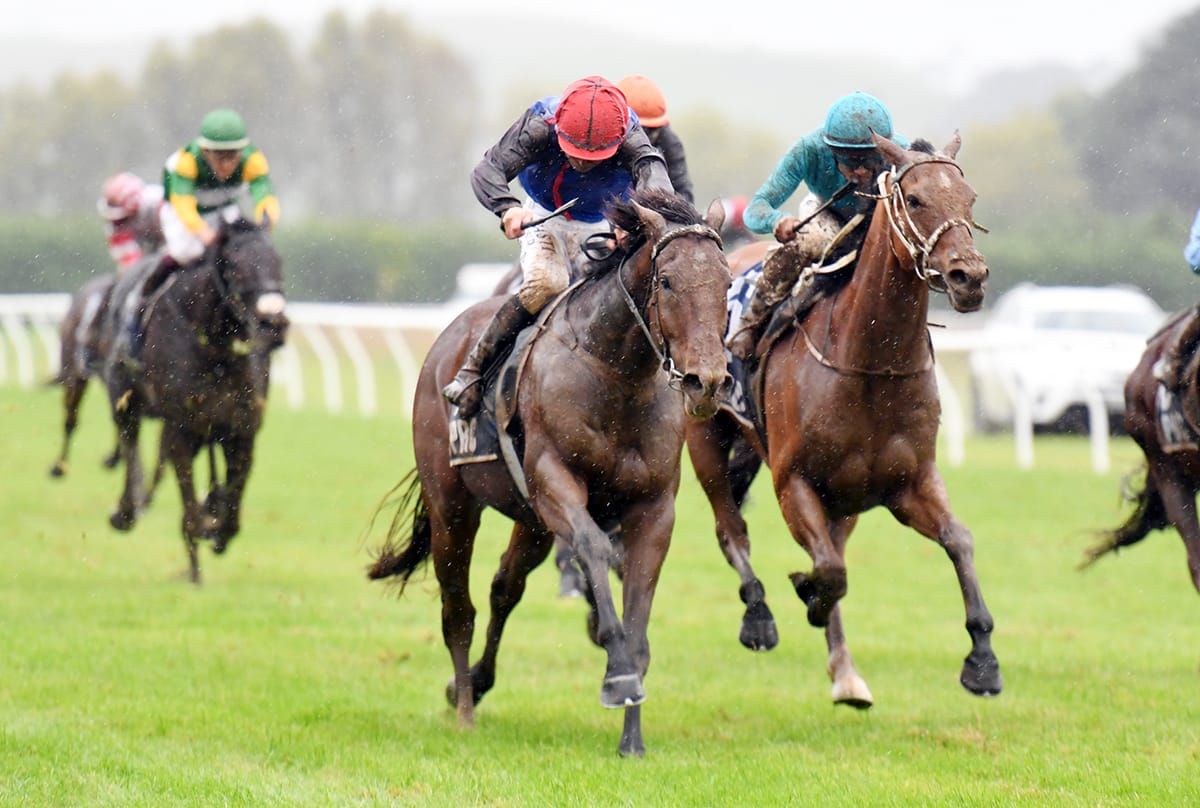 Rathbone heading north with promising stayer