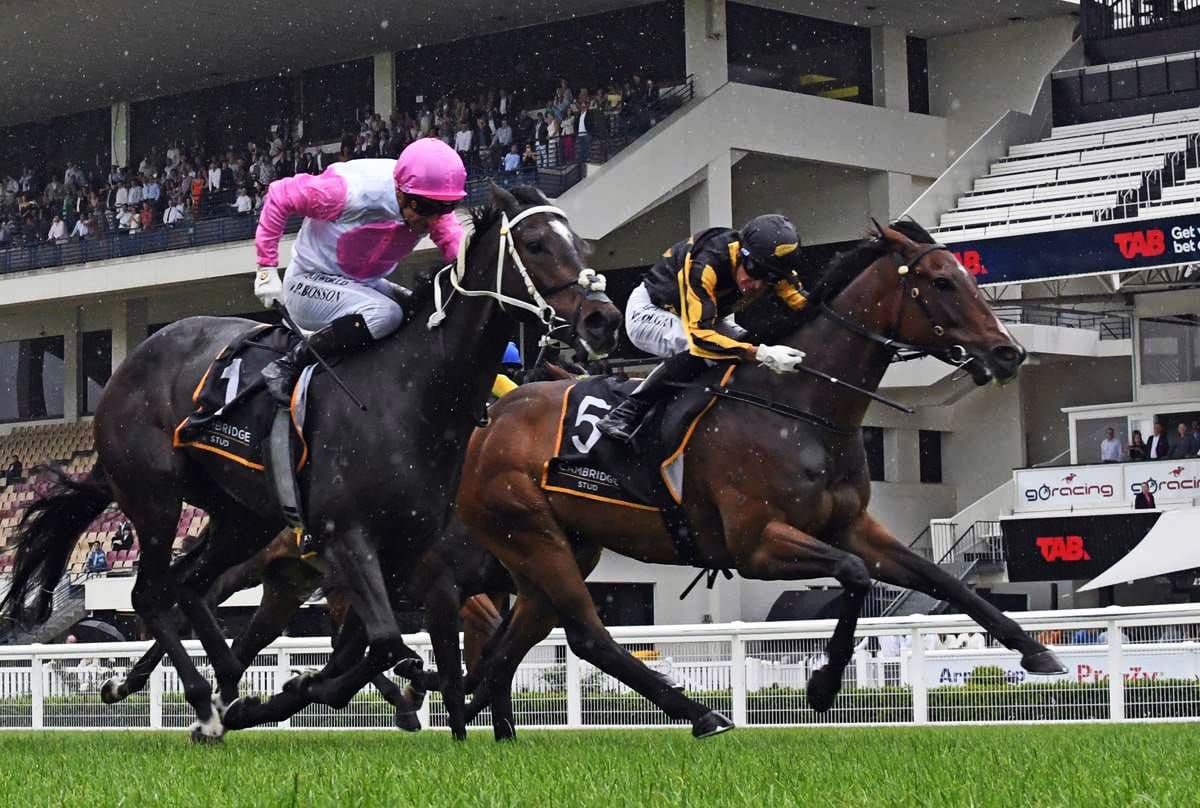 Former Hong Kong galloper seeking breakthrough win