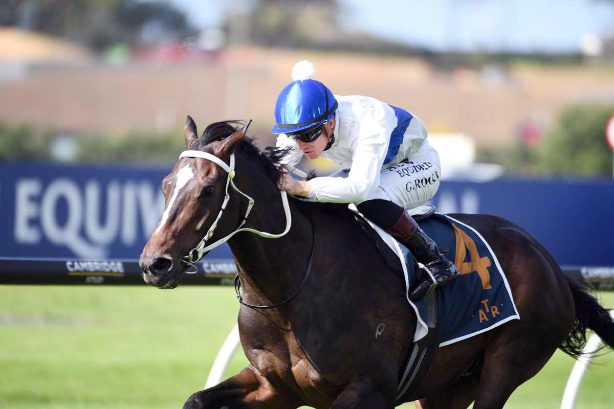 Cambridge barn chasing stakes success on all fronts