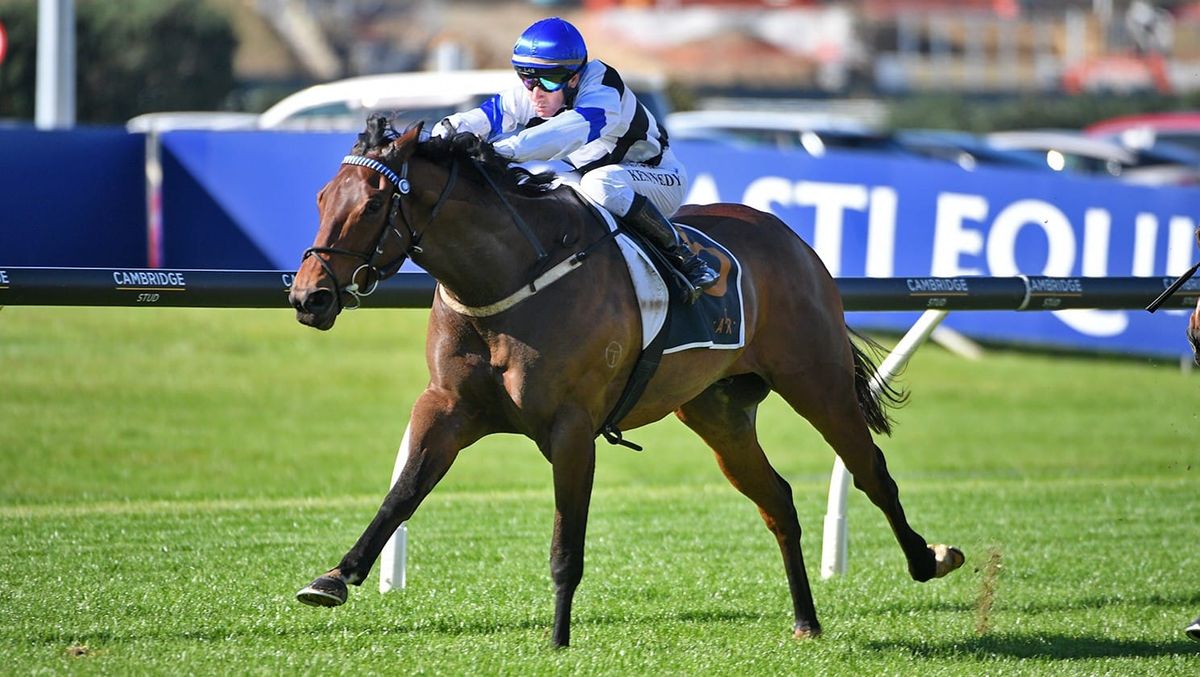 Sterling Express doubles up at Ellerslie