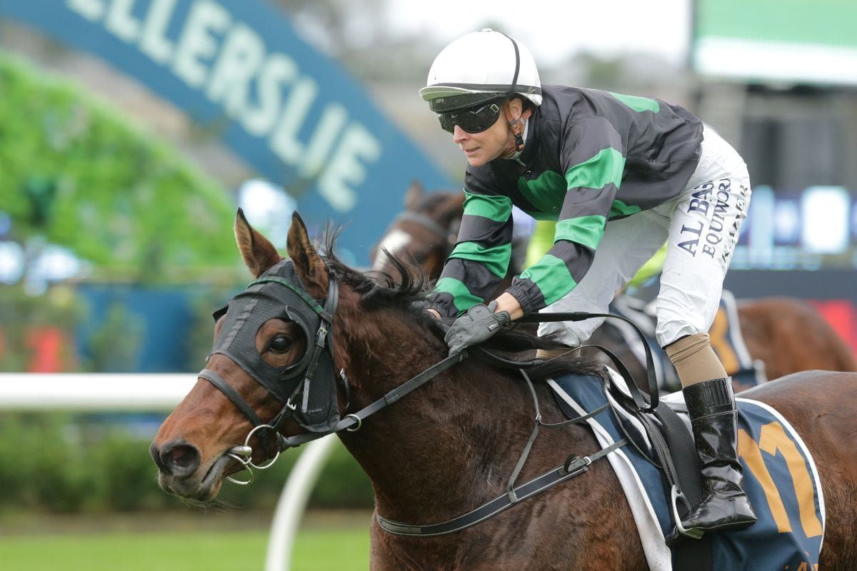 Southern formula succeeds again with Super Fly