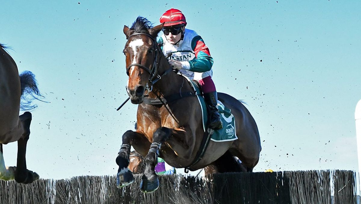 Nelson and McDougal’s jumpers shine at Te Rapa