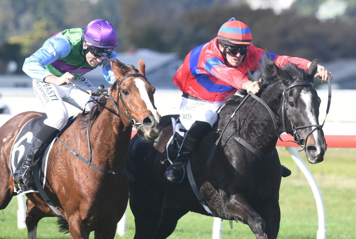 Bishara’s Flash hurdler fires at Wanganui