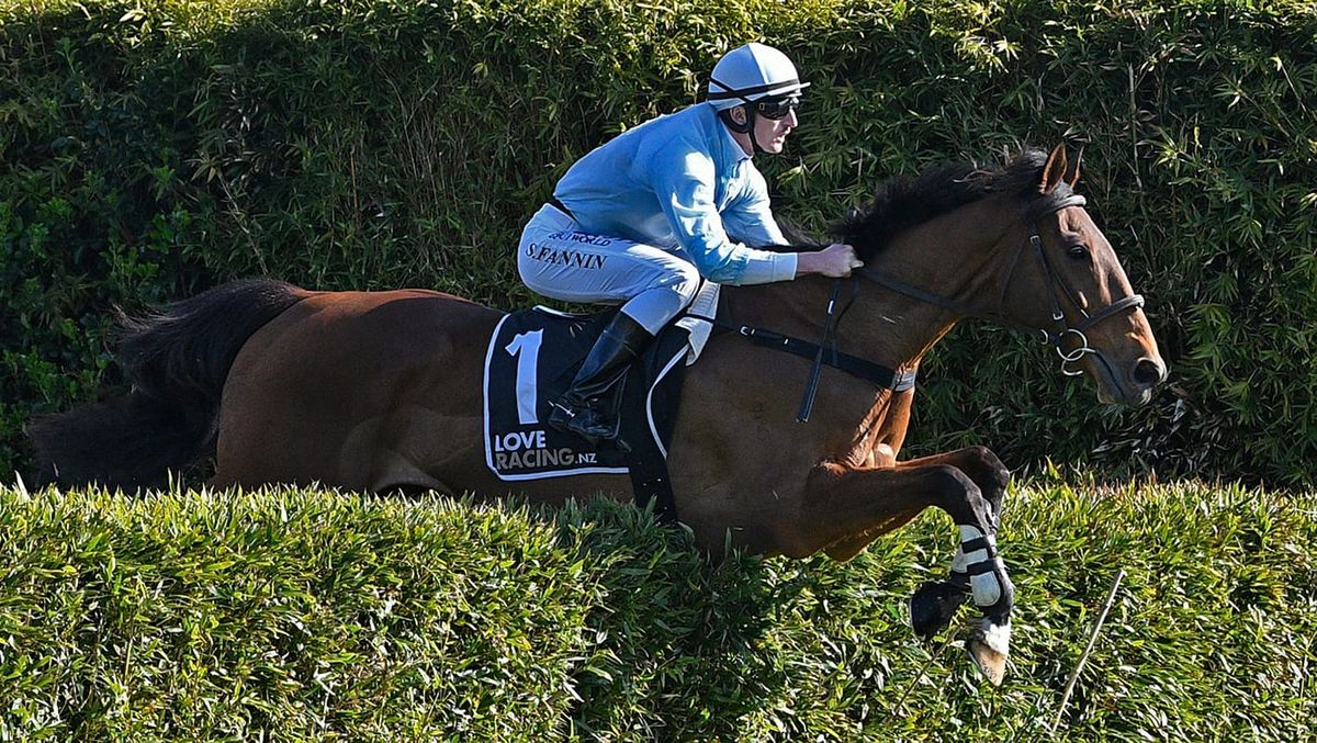 Champion Jumper West Coast to resume at Wanganui