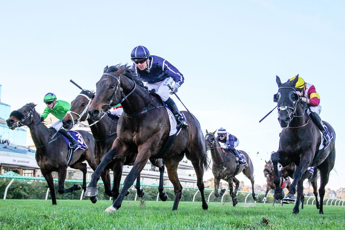 Gutsy Flemington triumph for Bold Soul