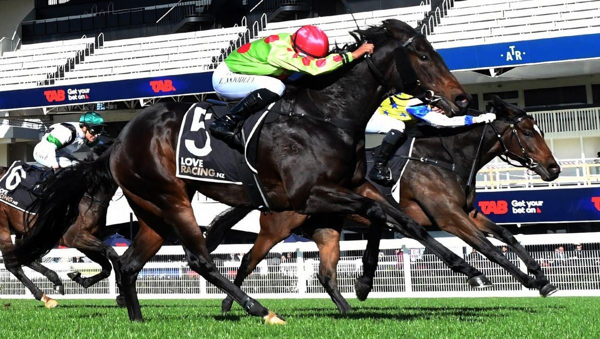 Boombox makes plenty of noise at Ellerslie