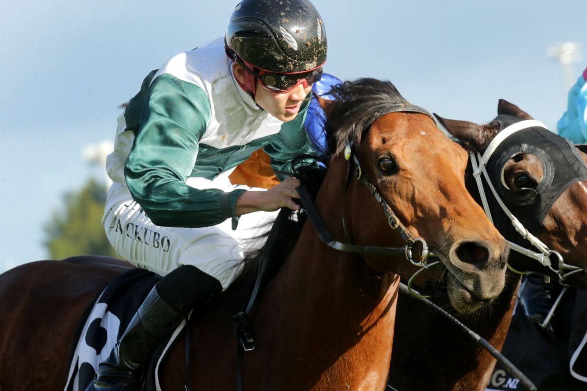 Perfect gift for Okubo at Te Rapa