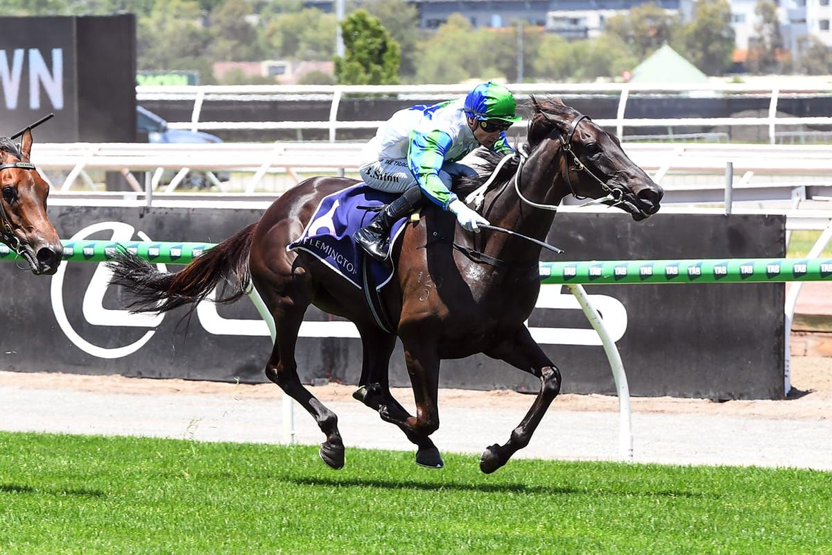 Dream All Day to follow in famed sister’s footsteps