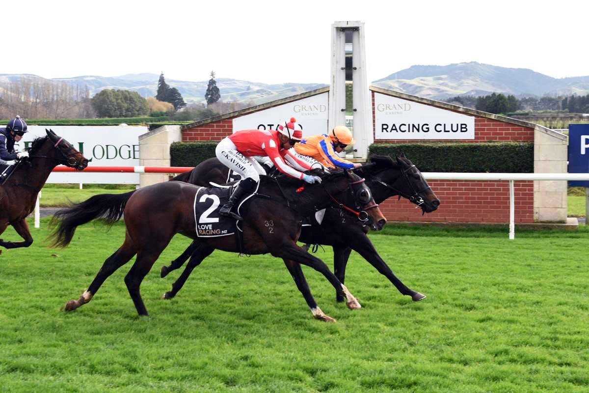 Ferrando colt leaves lasting impression