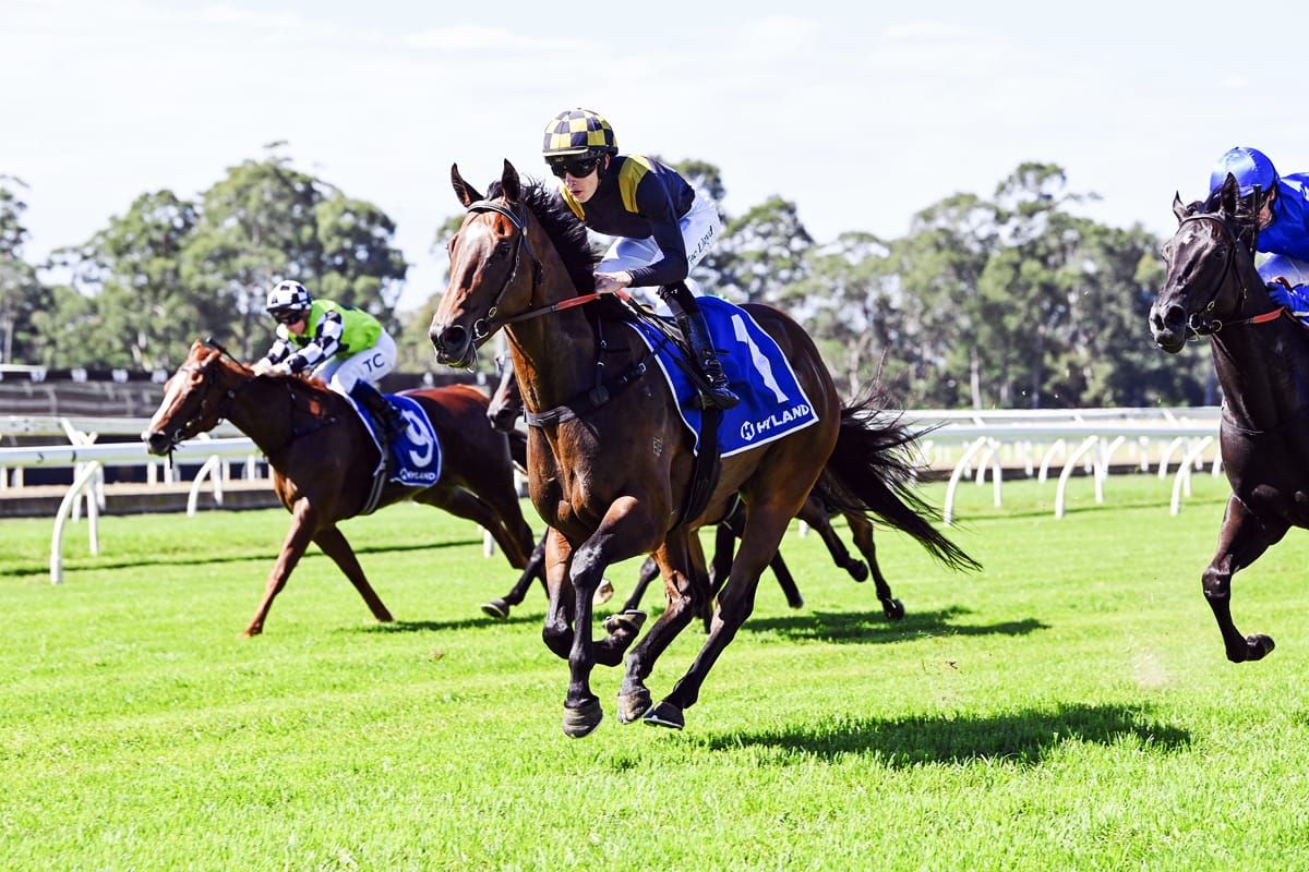 Engine Room back on track