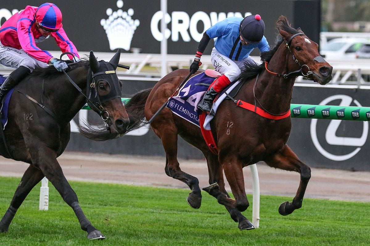 Flash Feeling registers Flemington win for new stable