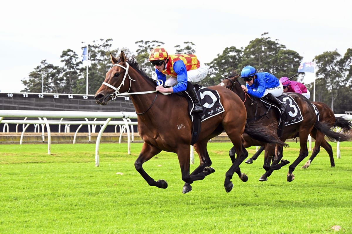 Frosty Girl impressive on debut