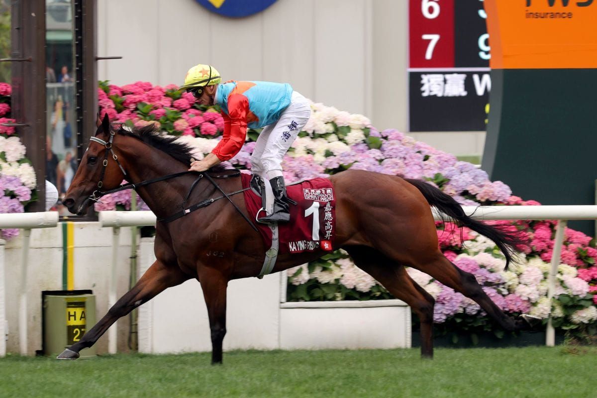 Protocol change makes Flemington an option for Hong Kong star