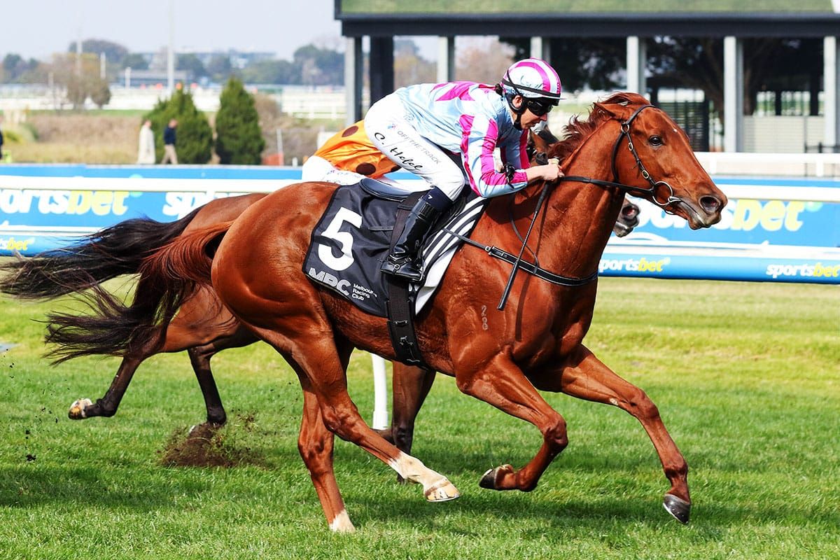 Mrs Chrissie Flemington bound