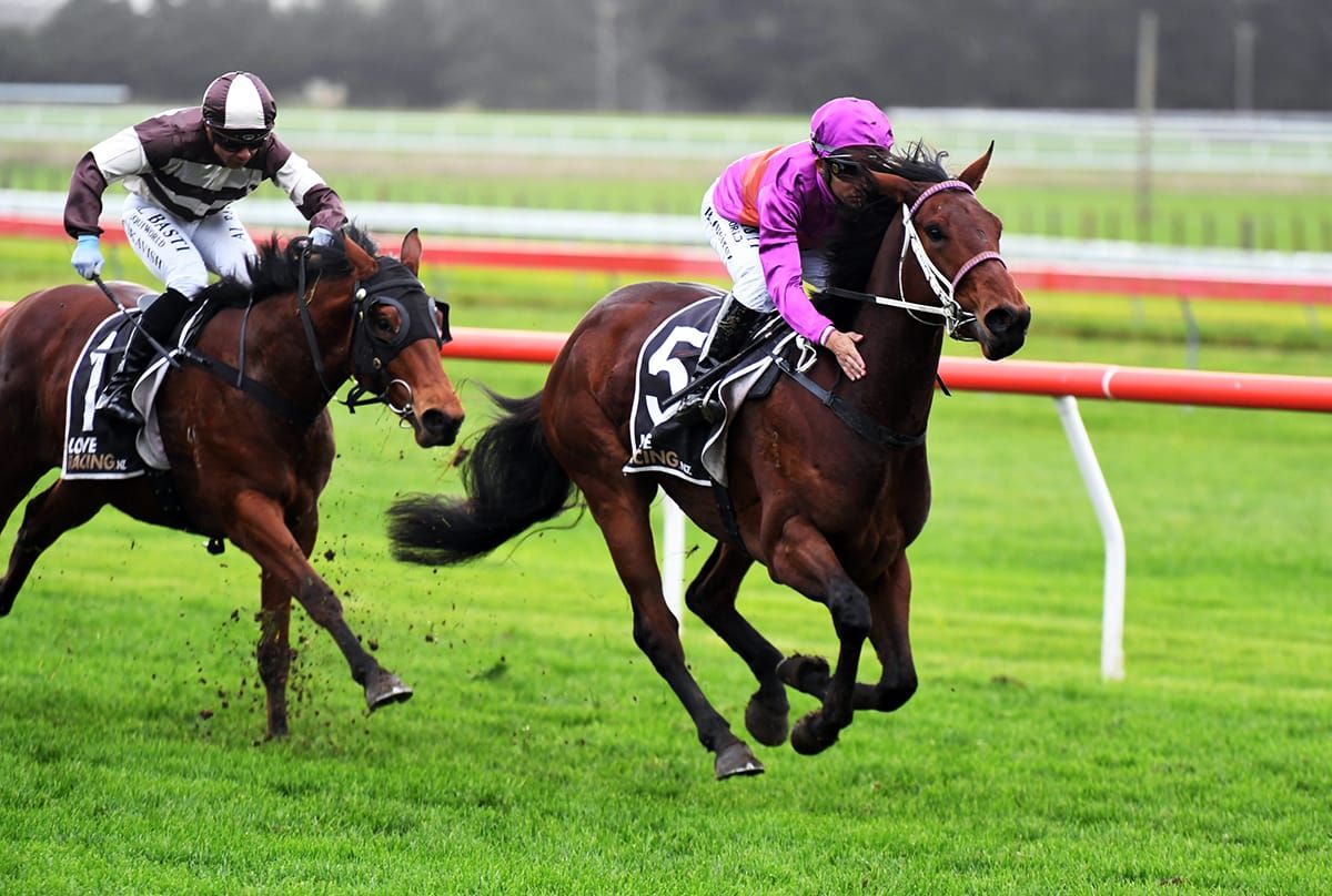 Platinum Diamond provides Latta’s missing piece