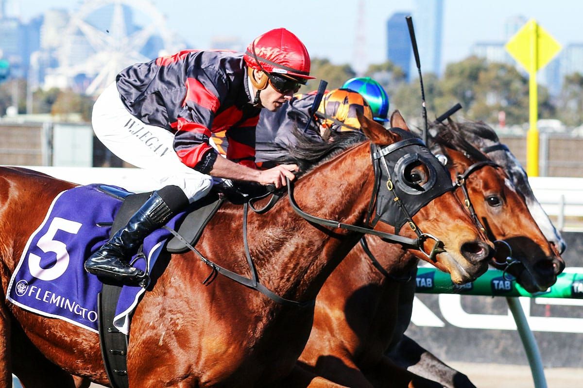 Stop The Rock continues run of form