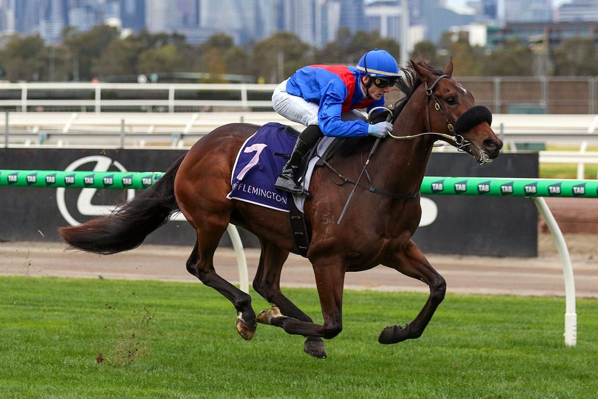 Taken leads rivals a merry dance