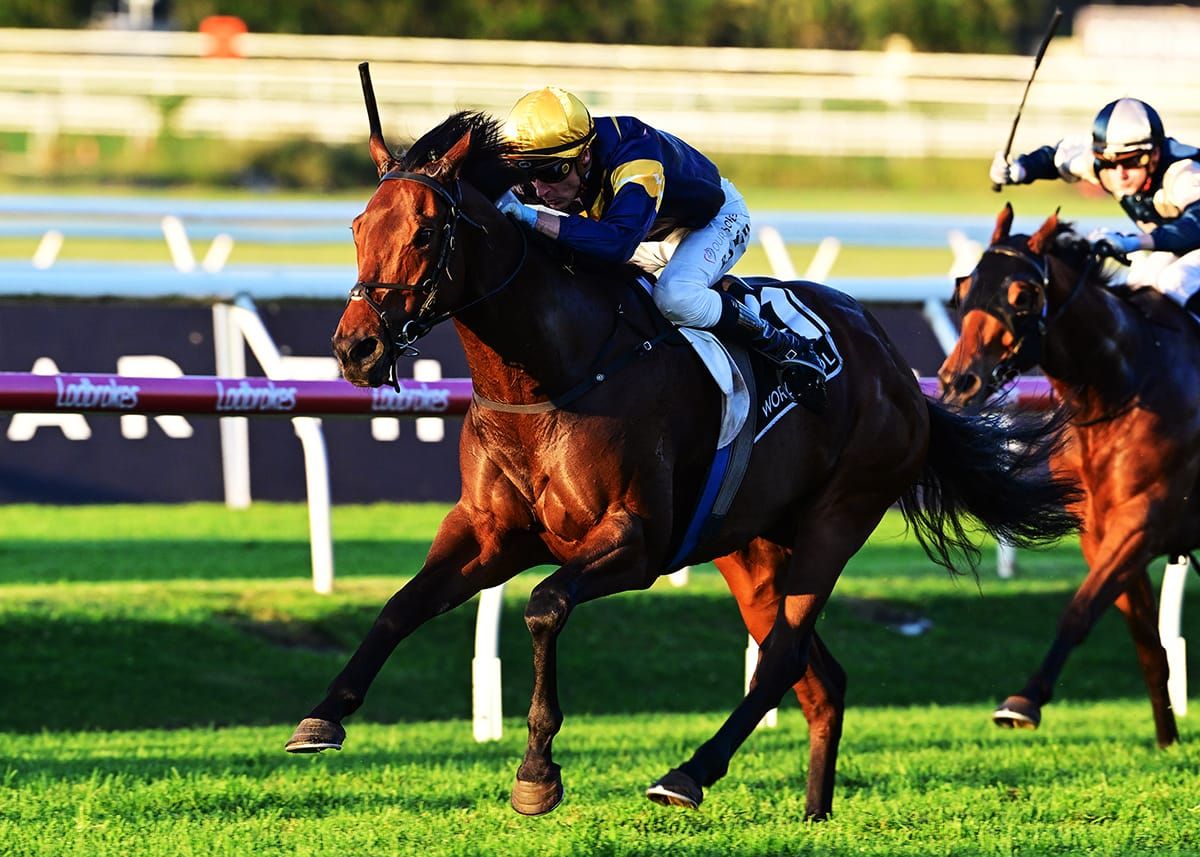 Angels ride with War Machine