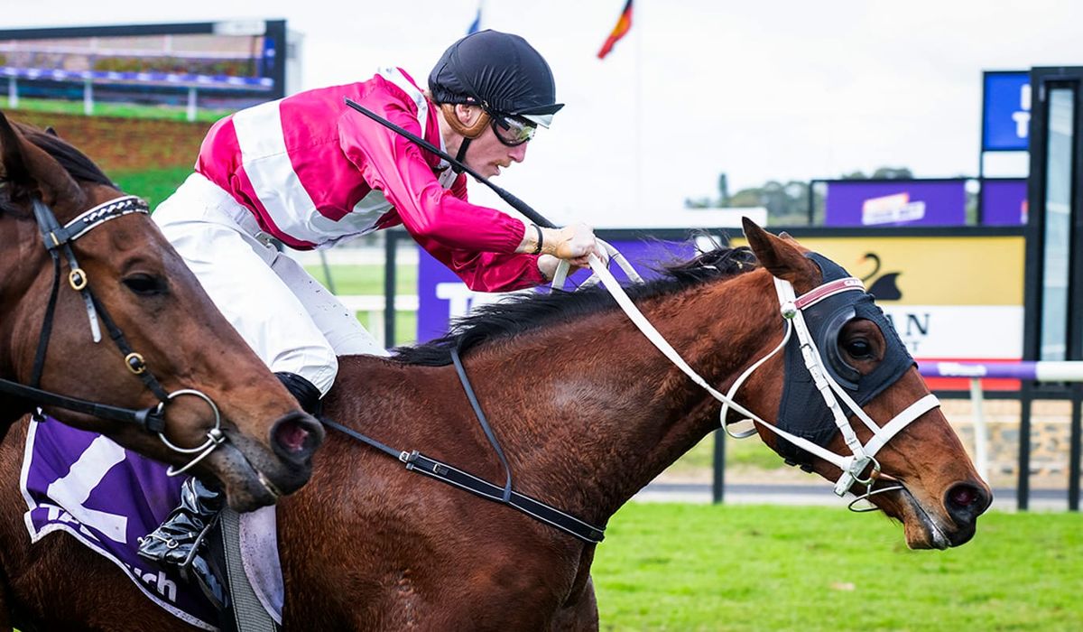 Arcadia Park captures Aquanita Stakes